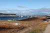 Findhorn July 2021 0077